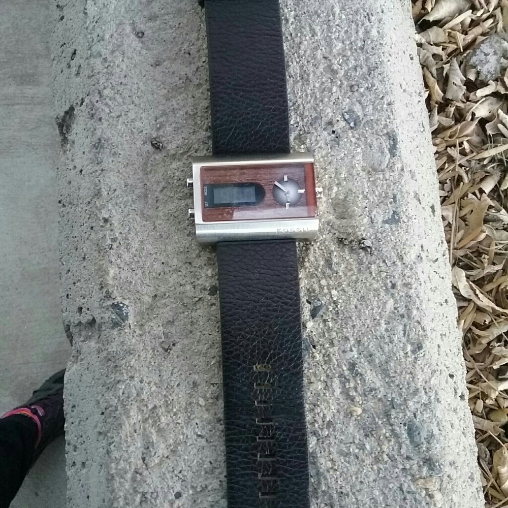 Fossil Watch